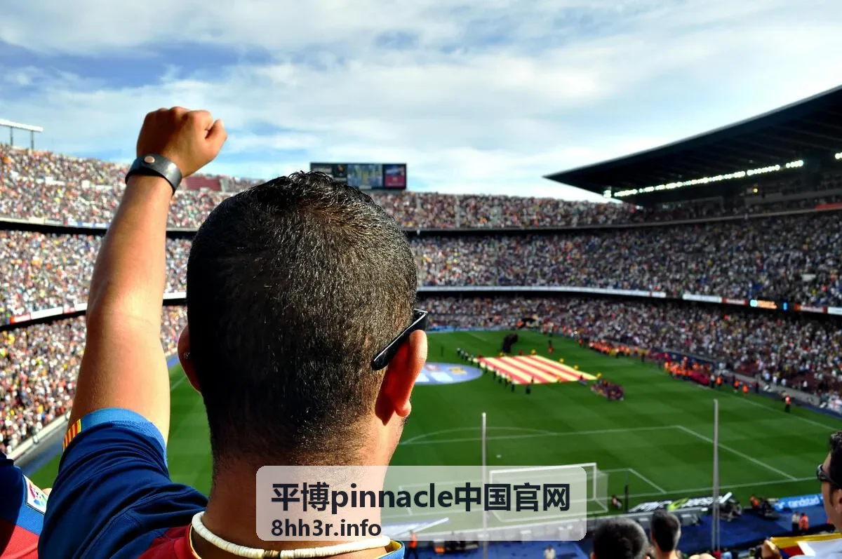 平博pinnacle中国官网 实用指南